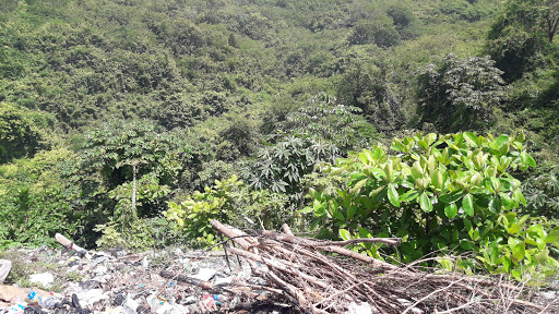 Vertedero Municipal de Palenque - Garbage dump in the Dominican Republic