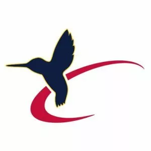 Vertical Flight Society