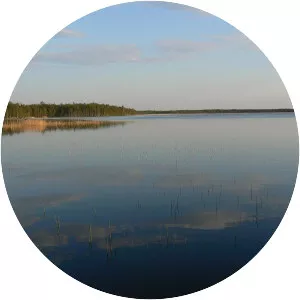Veskijärv - Lake in Estonia