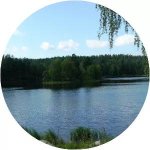 Vesletjern (Lillomarka)