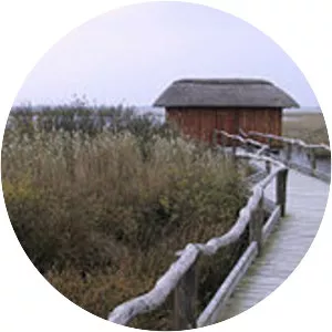 Vest Stadil Fjord - Lake