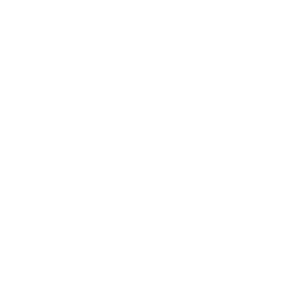 Vestar Capital Partners