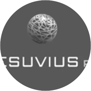 Vesuvius plc - Company