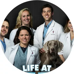 Vet Academy photograph