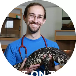 Vet on the LooseSince 2009