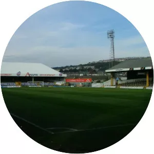 Vetch Field