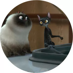 Veteran Cat - Fictional character