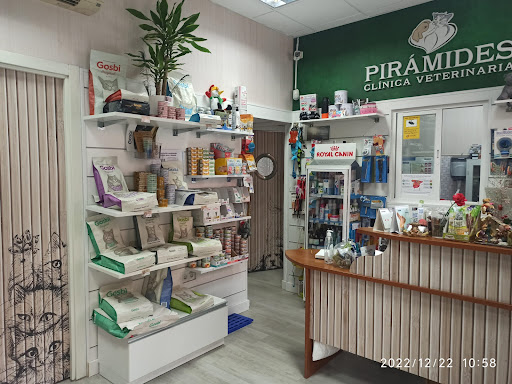 Veterinary Clinic Pyramids