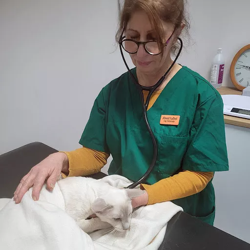 Vetvet Djurklinik AB - Veterinarian in Akersberga, Sweden