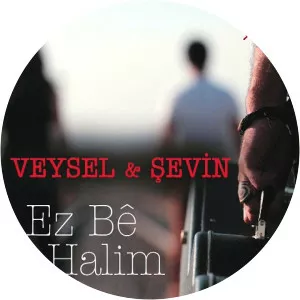 Veysel & Şevin