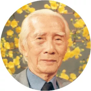 Viễn Châu - Musician