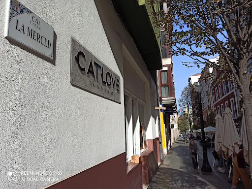 Viajes Somiedo - Tour agency in Gijon, Spain