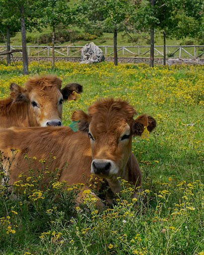 Viajes Vantur - Travel agency in Gijon, Spain