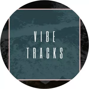 Vibe Tracks - Musical artist