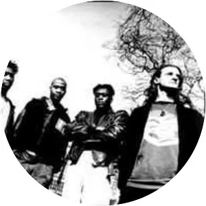 Vibraphonic - Musical group