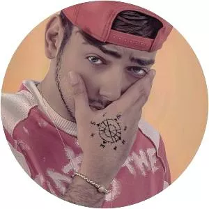 Vic Ohana Jan - Musical artist