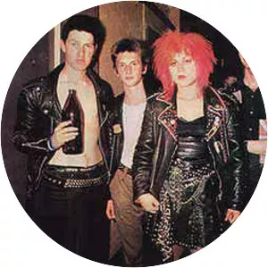 shane baldwin vice squad