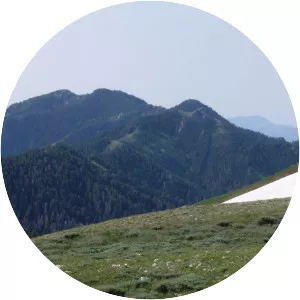 Vickory Mountain - 