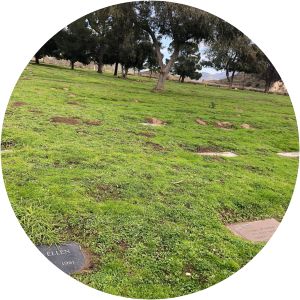 Victoria Ellen Rothschild