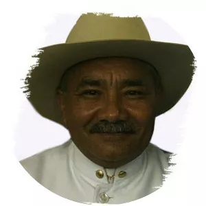 cecilia todd vidal colmenares