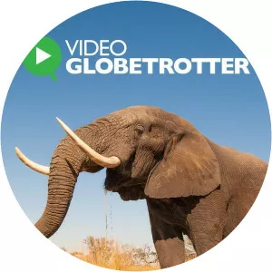 Video GlobetrotterSince 2020