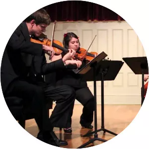 Videri String Quartet