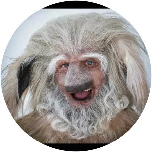 Viech - Musical group