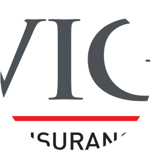 Vienna Insurance Group