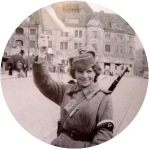 Vienna Offensive - Siege