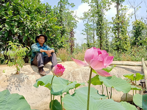 Viet Farm