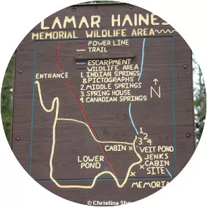 Viet Spring - Spring in Arizona