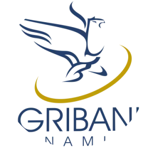 Vietnam Bank for Agriculture and Rural . . .