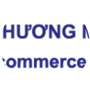 Vietnam E-Commerce Association