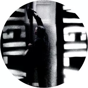 Vigilante Vigilante: The Battle for . . .