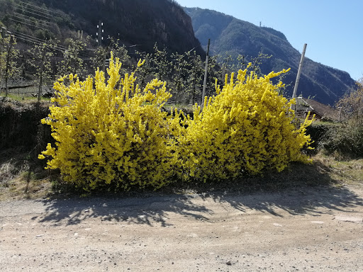 Vigiliuskirche am Virgl - Catholic church in Italy