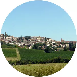 Vignale Monferrato