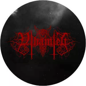 Vihamieli - Musical artist