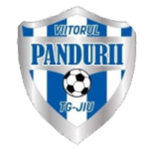 Viitorul Pandurii