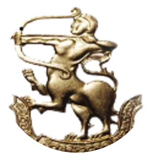 Vijayabahu Infantry Regiment - 