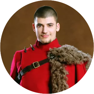 Viktor Krum - Harry Potter character