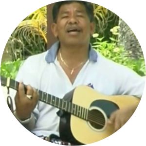 Vili Ieru - Musical artist