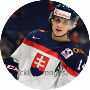 Viliam Čacho - Ice hockey player