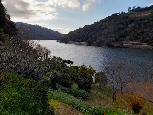 Villa in Portugal - Douro Valley - Villa in Resende, Portugal