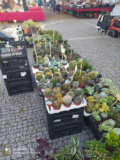 Villa Jardins Casa Das Plantas