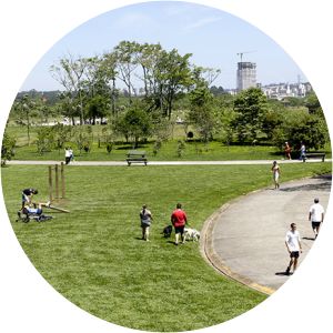 Villa-Lobos State Park