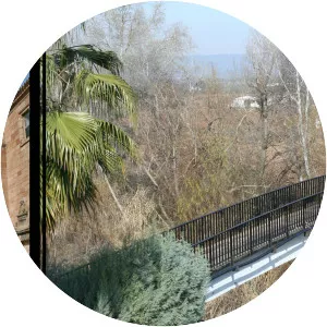 Villanueva de la Reina