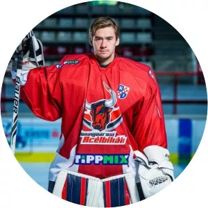 Villem-Henrik Koitmaa