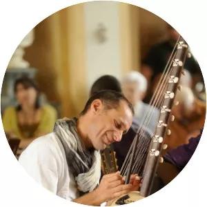 Vincent Zanetti Musician