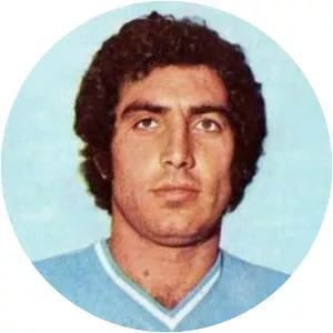 Vincenzo Montefusco - Italian former football player