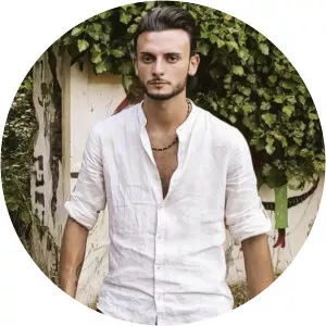 Vincenzo Revi - Musical artist